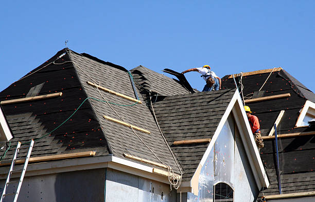 Best Roof Gutter Cleaning  in Ellport, PA