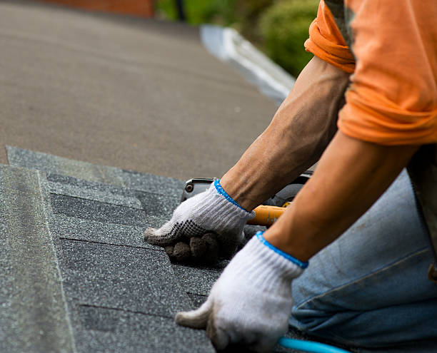 Best Roof Repair Services  in Ellport, PA