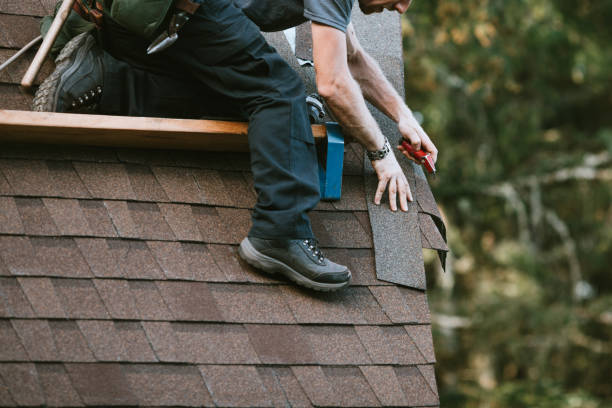 Best Local Roofing Companies  in Ellport, PA